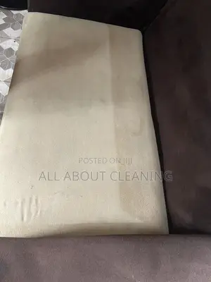 Transforming Sofas One Clean at a Time
