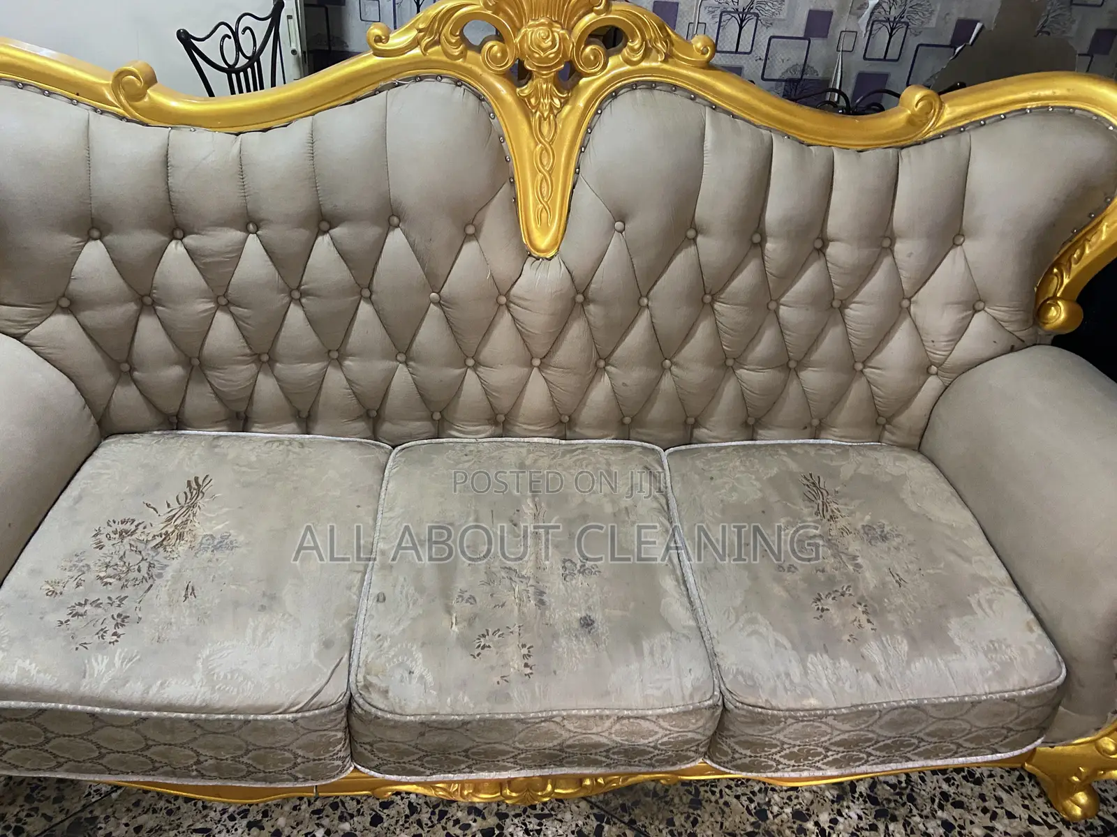 Cleaner Sofas, Brighter Homes