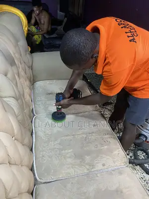 Cleaner Sofas, Brighter Homes