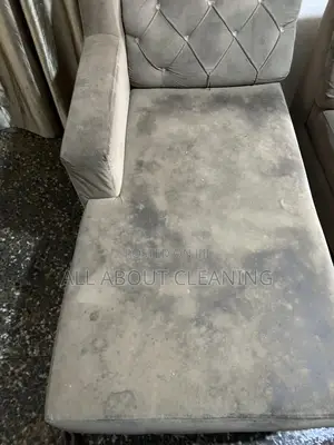Perfect Clean for Your Perfect Sofa