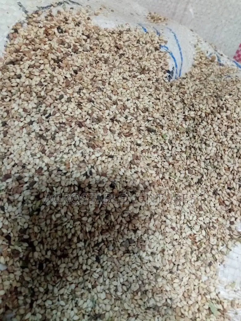 Sesame Seed