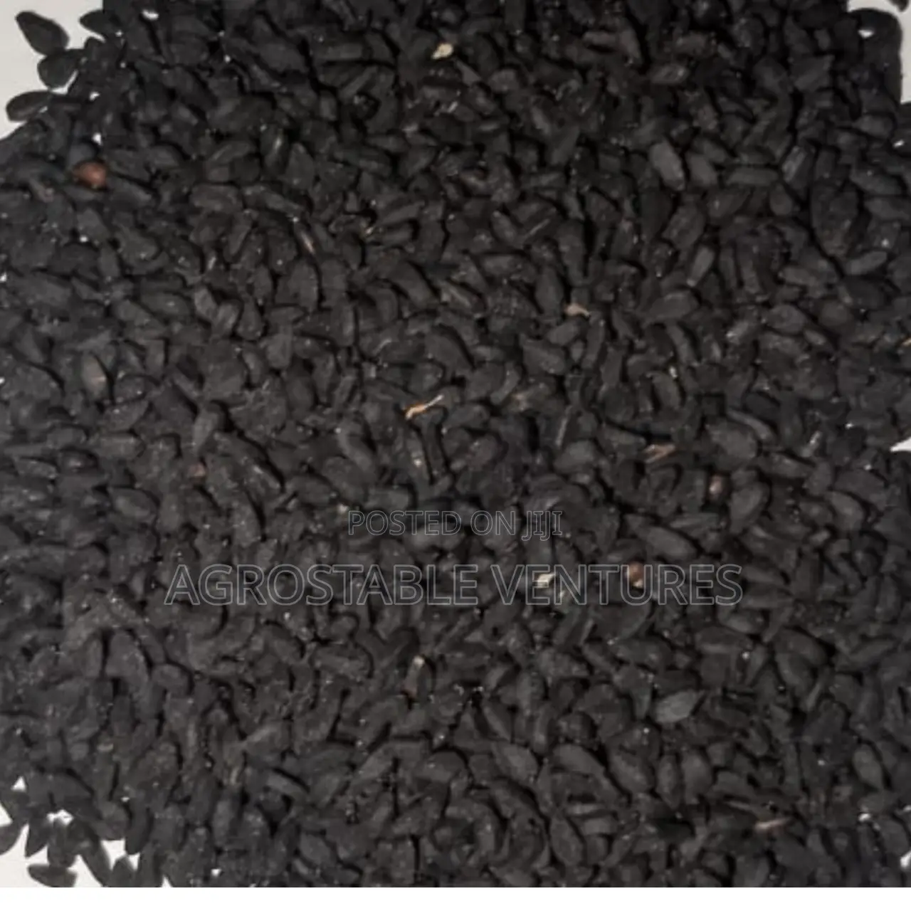 Black Seed Pack