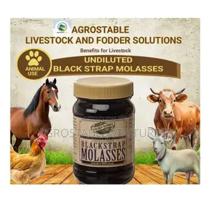 Mollases 25 LTR