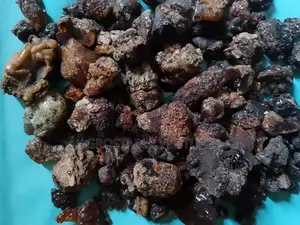 Myrrh Resin Pack