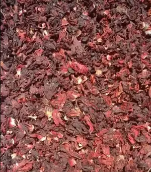Died Hibiscus Flower