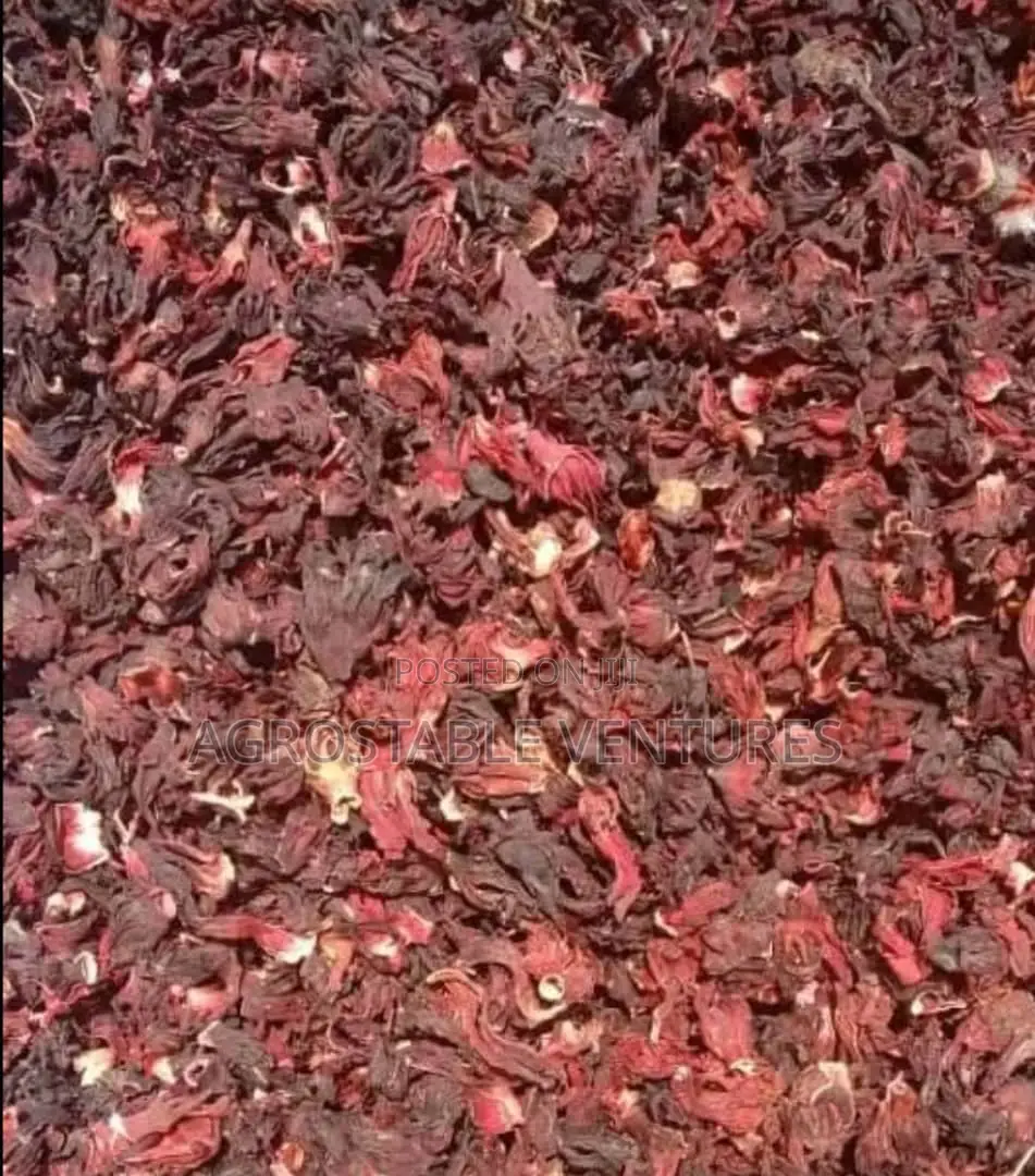 Died Hibiscus Flower