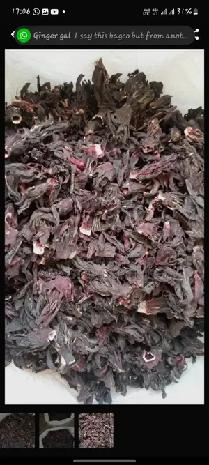 Died Hibiscus Flower