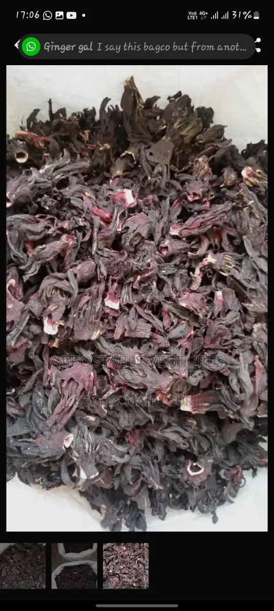 Died Hibiscus Flower