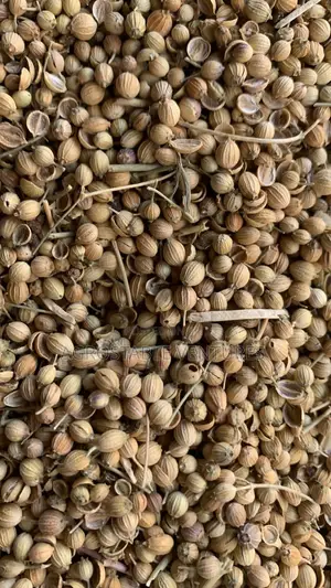 Corriander Seed