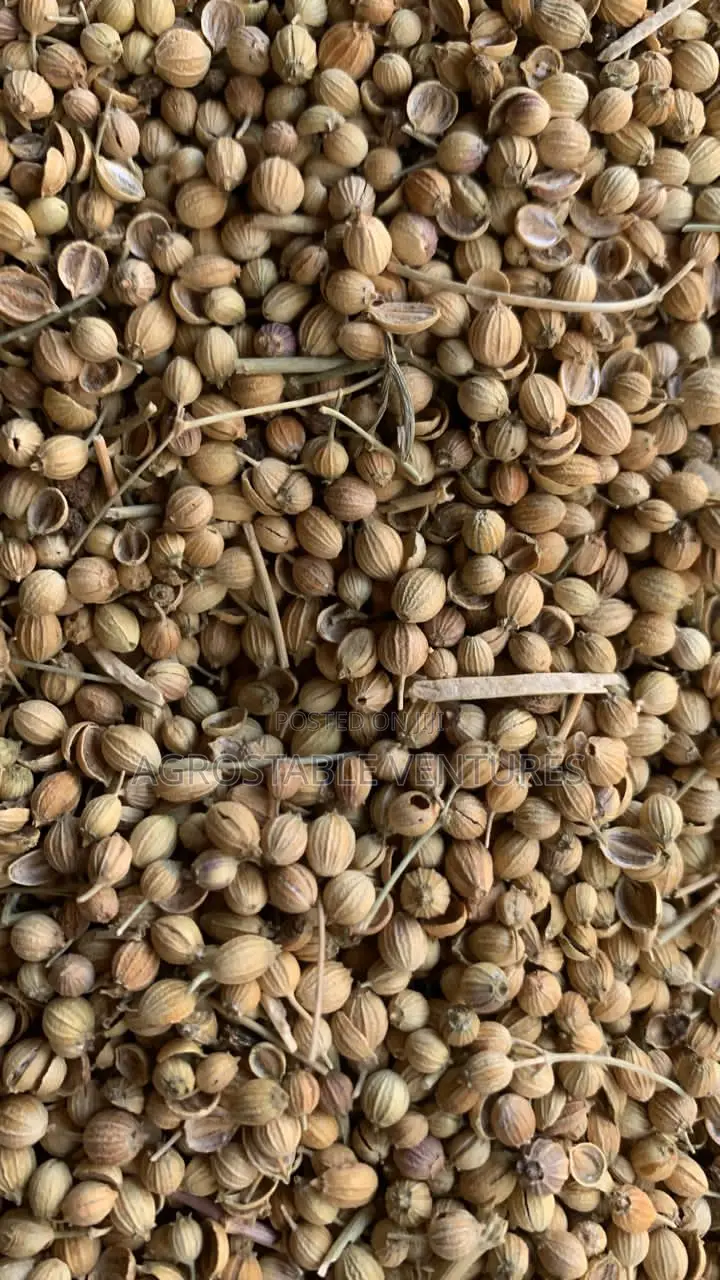 Corriander Seed