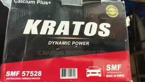 Malaysia and Korea Motor Batteries Inverter Batteries.
