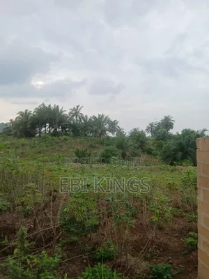 Landed Property