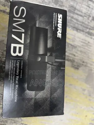 Recording Mic