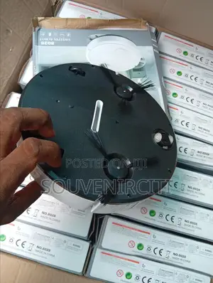 Robotic Sweeper