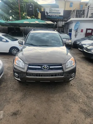 Toyota RAV4 2010 Brown