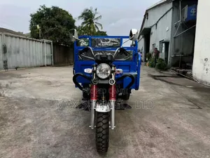 New Tricycle 2026 Blue