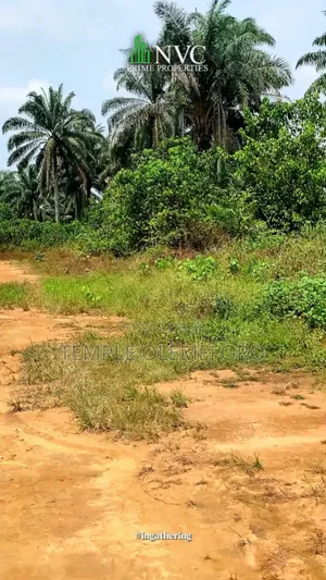 Land For Sale In Igwuruta, Port Harcourt - Nvc Prime Real Estate