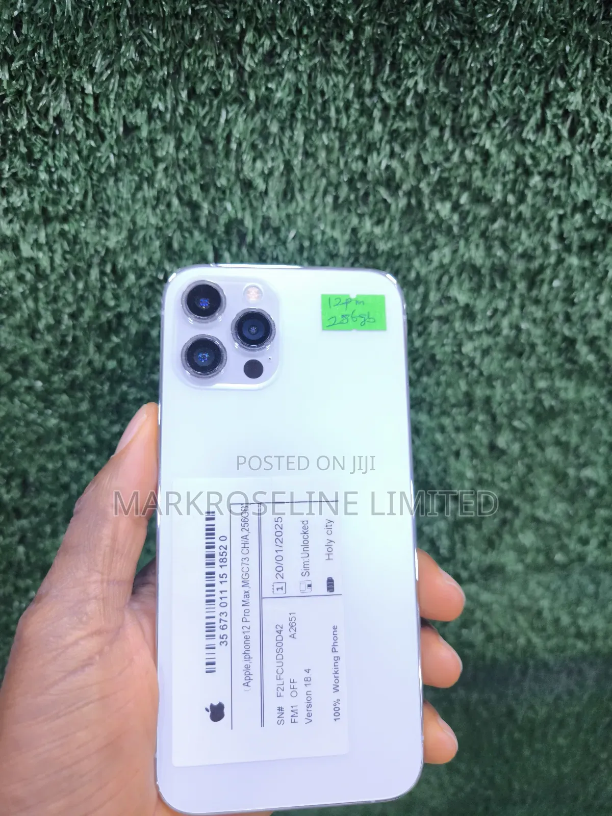 Apple iPhone 12 Pro Max 256 GB White