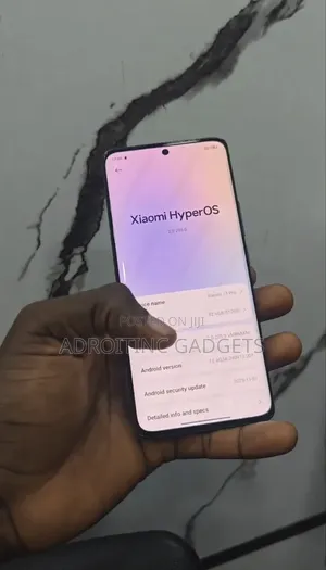 Xiaomi 13 Pro 512 GB Black