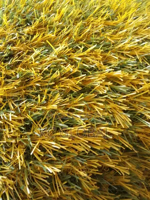 Artificial Grass Available 25mm. Multi Color