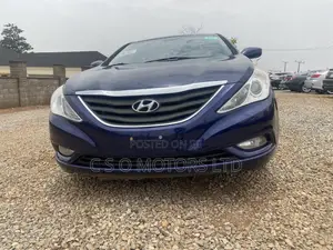 Hyundai Sonata 2011 Blue