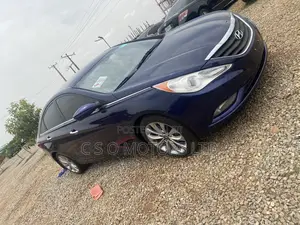 Hyundai Sonata 2011 Blue