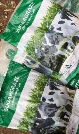 Sugargraze Forage Sorghum