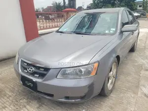 Hyundai Sonata 2007 Gray