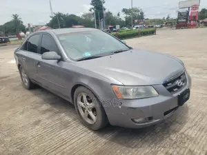 Hyundai Sonata 2007 Gray