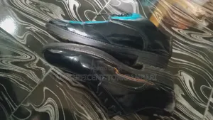 Shoe Size 45