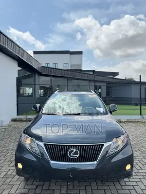 Lexus RX 350 2011 Gray