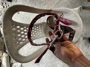 Dog Leash Available