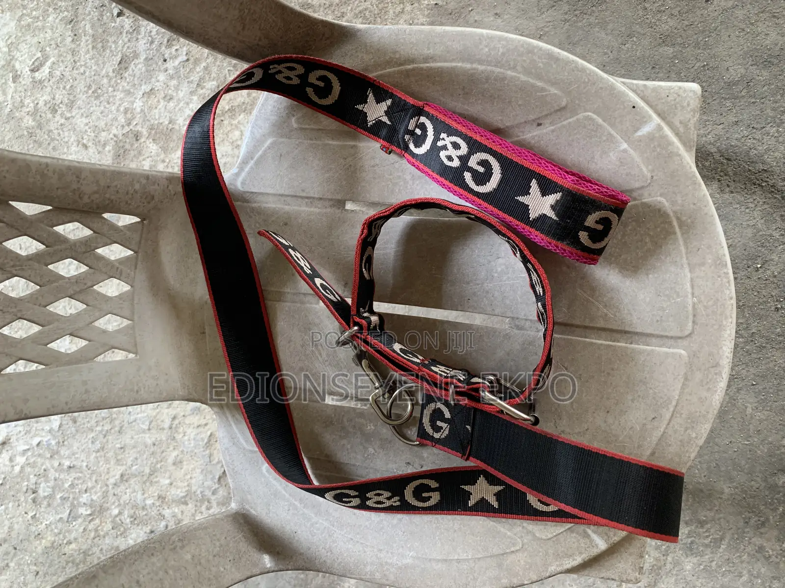 Dog Leash Available