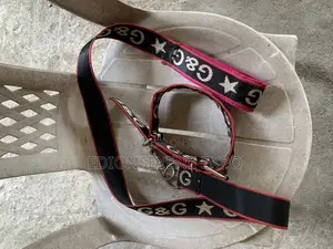 Dog Leash Available