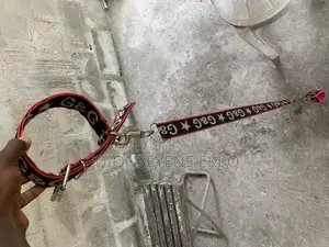 Dog Leash Available