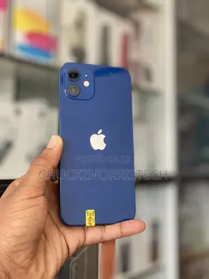 Apple iPhone 12 256 GB Blue