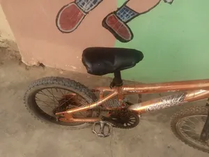 Bicycle for Sale