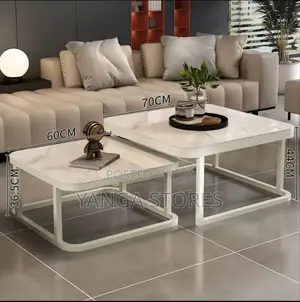 Luxury Rock Slab Center Table