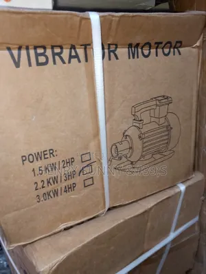 Vibrator Motor
