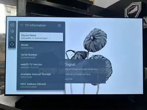Solid 42” Lg Oled C3 ( 2023 Edition )