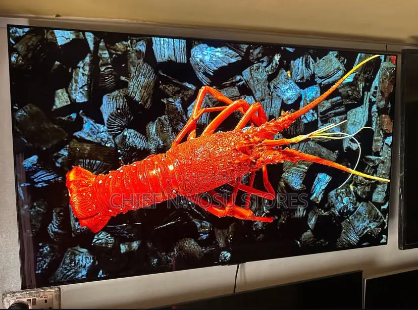 55" Lg Oled C3 Evo Panel Display With Thinq Al