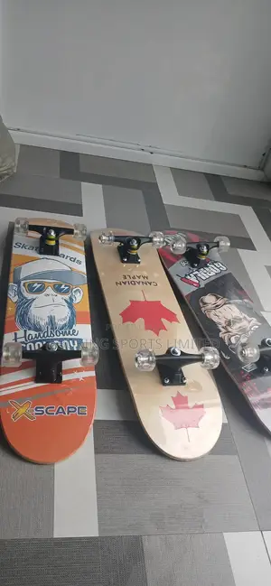 Skating Board