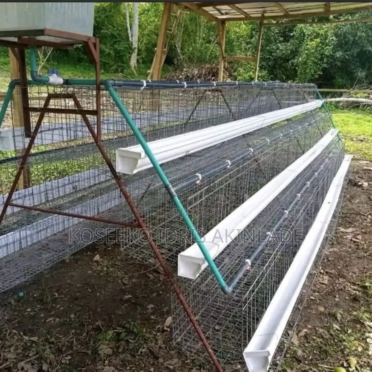 Poultry Cages