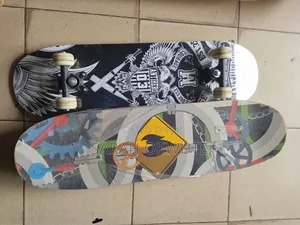 Adult Skate Board