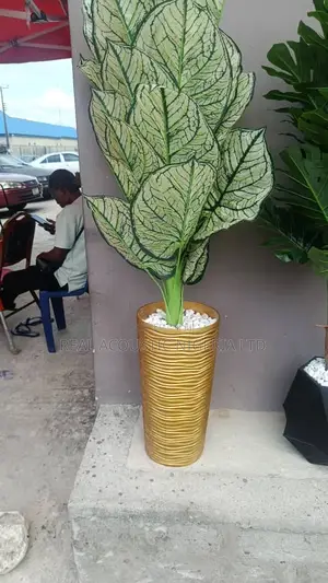 Artificial Decorative Floor Plants (Aglonema Monstera)