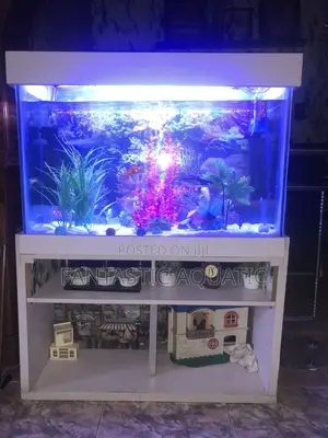 Natural Standard Aquarium