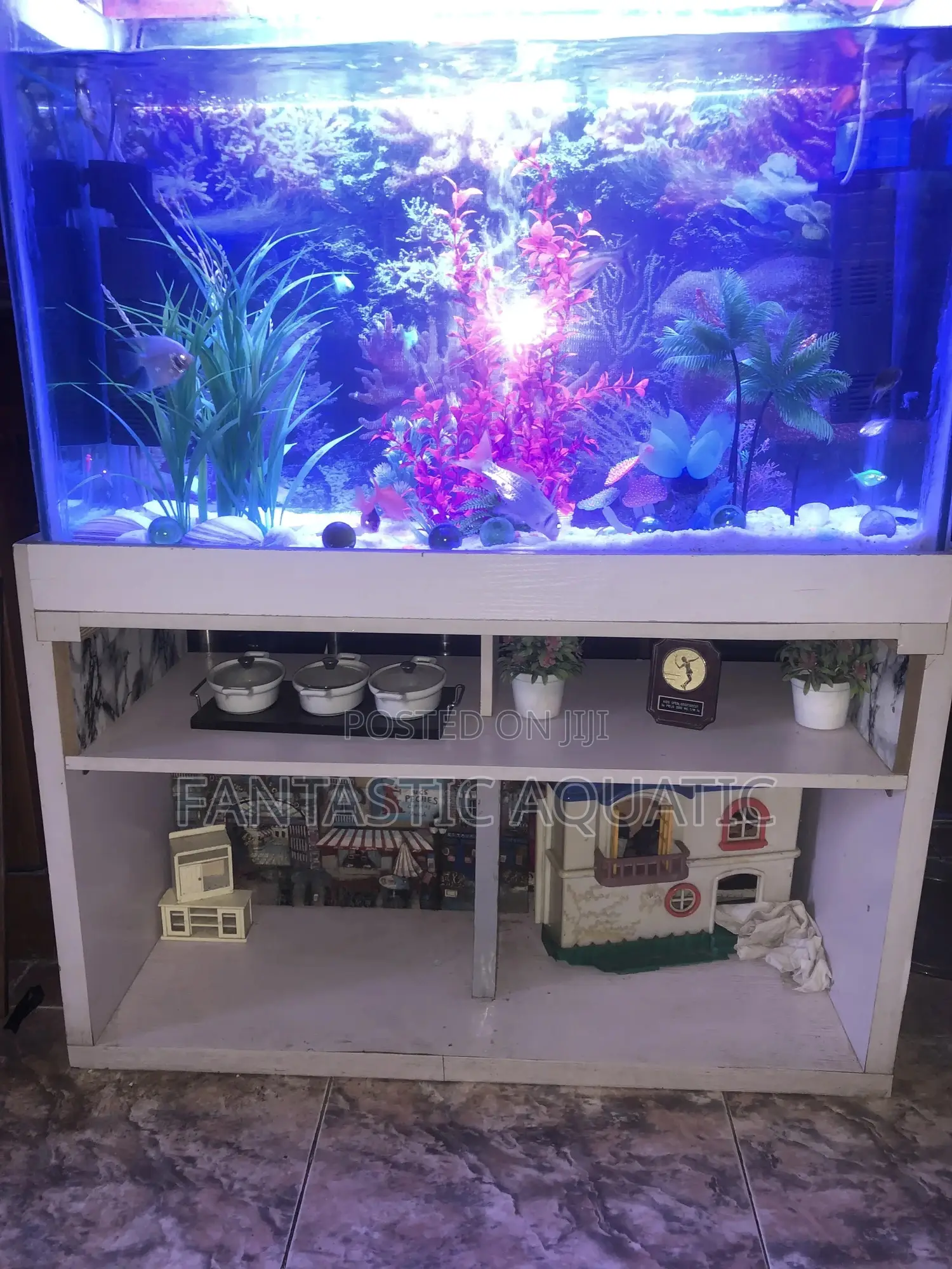 Natural Standard Aquarium