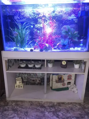 Natural Standard Aquarium