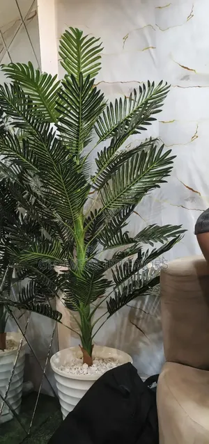 Palms Tree and Vase