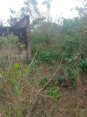 1 Plot of Land for Sale 60ft by 120ft